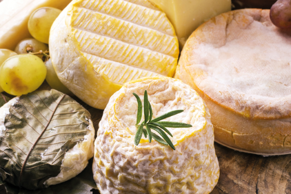Lust auf Italien: Spezialitäten Käse