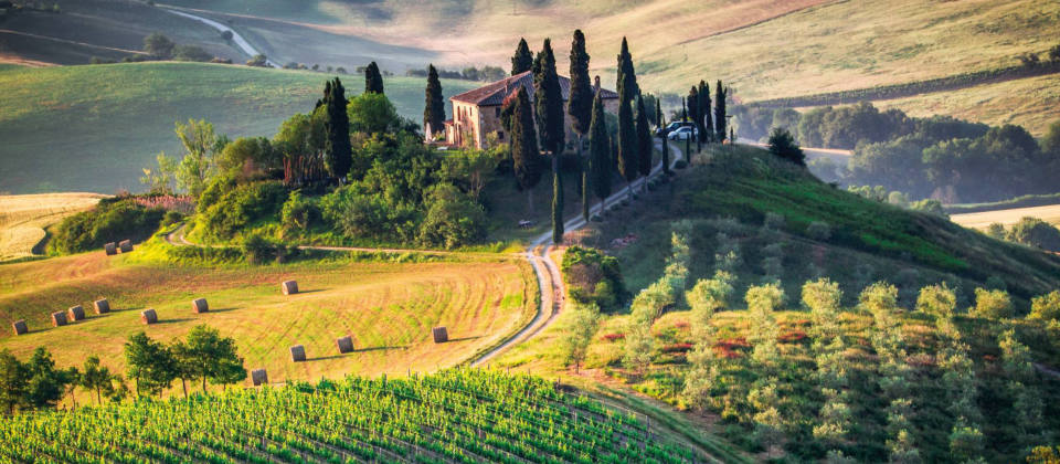 Lust auf Italien: Alles über Wein