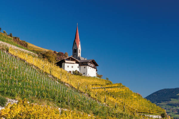 Lust auf Italien: Getränke - Wein: Südtirol