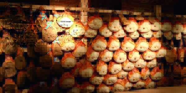 Lust auf Italien, Reisen, Piemont, Eataly, Turin, Schinken