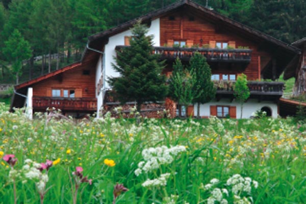 Lust auf Italien, Reisen, Südtirol, Schenna, Videgg