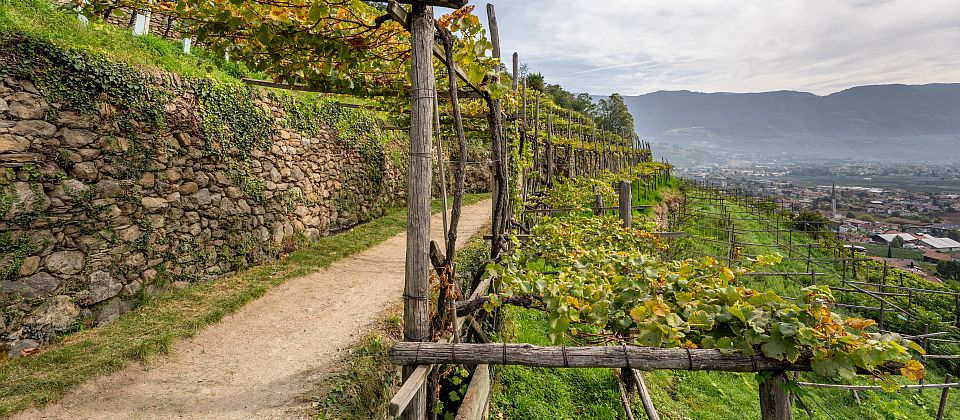 Algund und sein Waalweg verbinden auf besonders schöne Weise historische Wasserläufe, Weinberge und weite Panoramablicke.