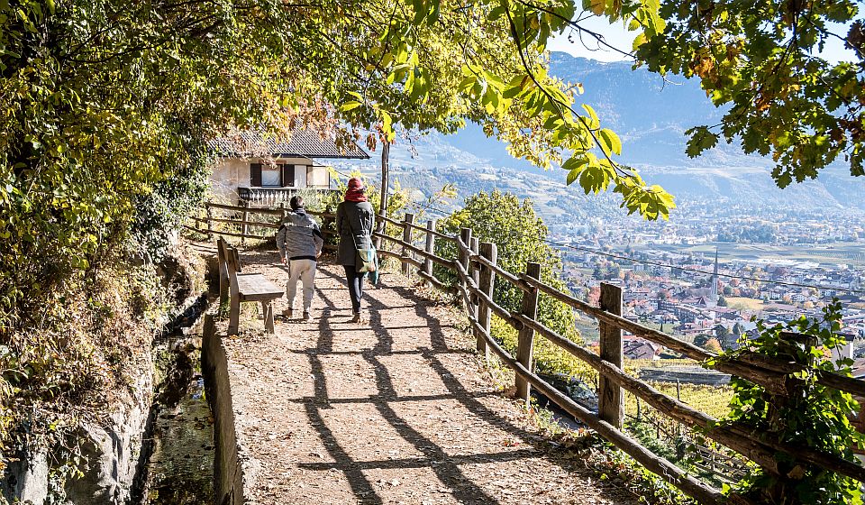 Vom Algunder Waalweg reicht der Blick über Weinberge und Algund bis weit hinein in den Meraner Talkessel.