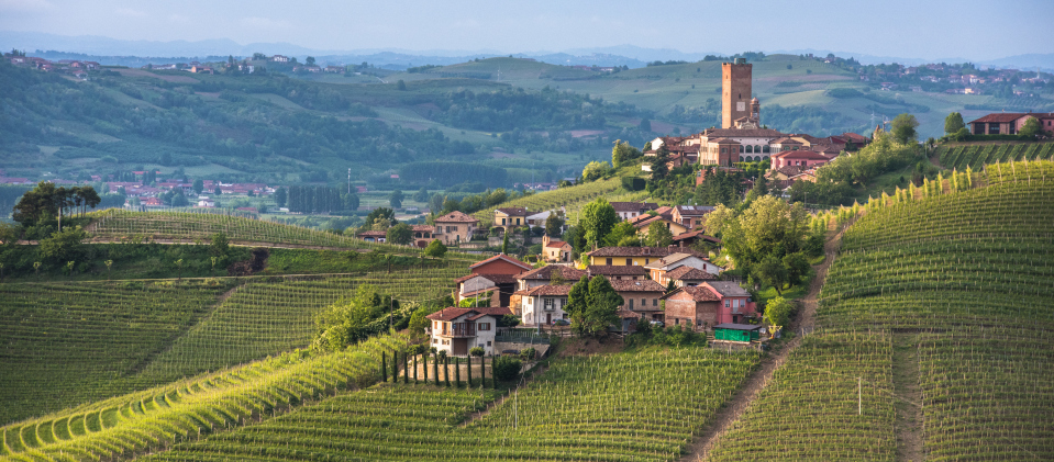 Panorama of Piedmont vineyards and Barbaresco town