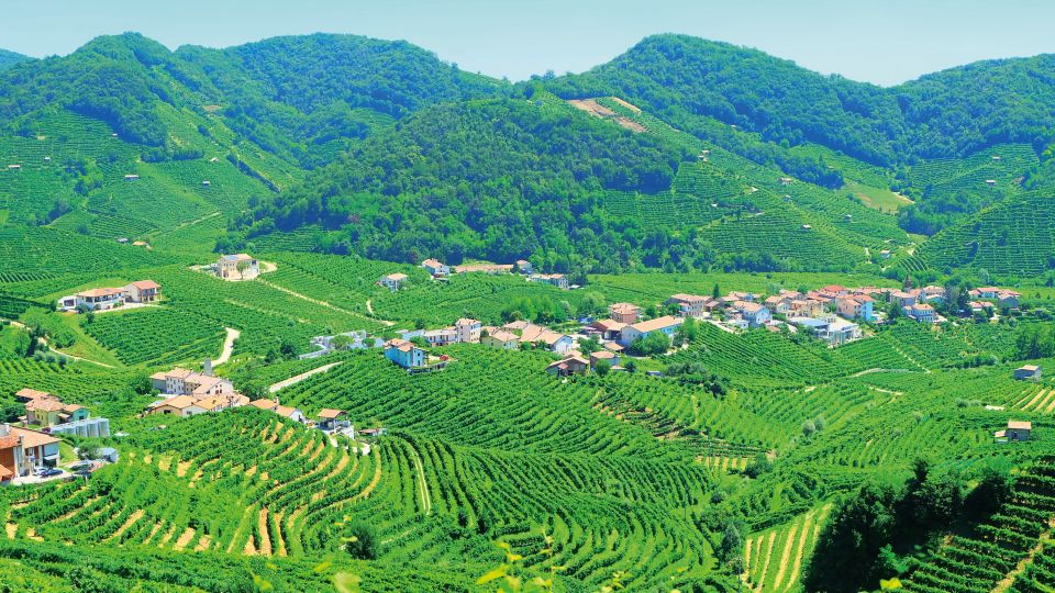 Die Cartizze-Hügel bei Valdobbiadene sind das Herzstück des Prosecco-Anbaus – berühmt für edle Lagen und feinsten Schaumwein.