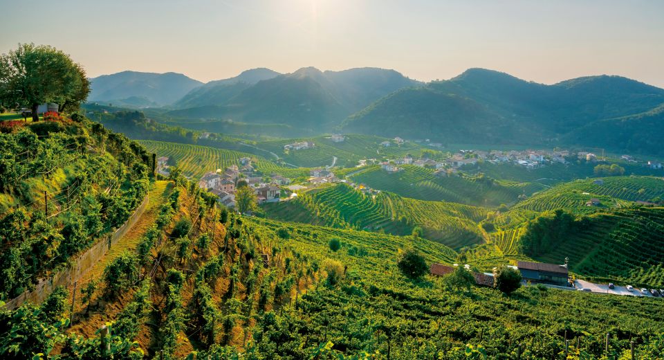 In den sanften Hügeln von Valdobbiadene reifen edle Prosecco-Trauben – ein Paradies für Genießer und Weinliebhaber.