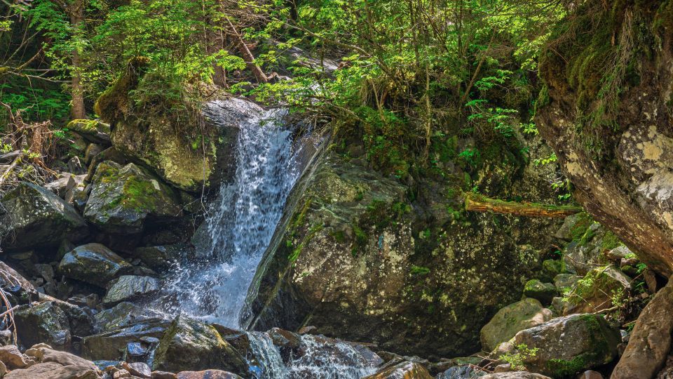 Klare Bäche und wilde Wasserläufe durchziehen den Naturpark und beleben Wälder, Almen und alpine Schluchten sanft lebendig.