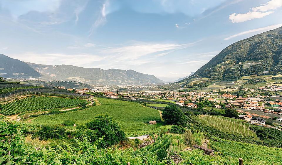 Algund im Meraner Land ist herrlich eingebettet zwischen Weinreben, Obstgärten und imposanten Bergen.