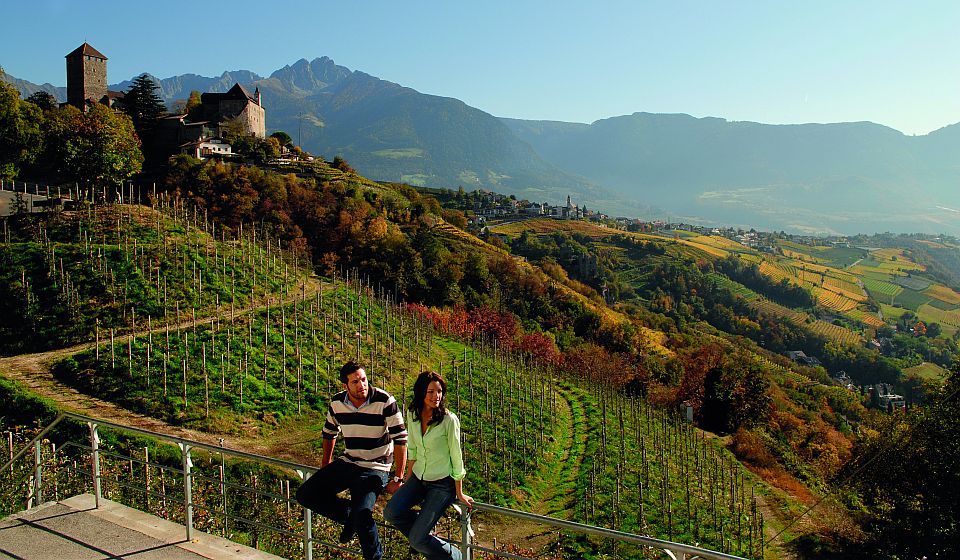 Genießen Sie einen wunderbaren Panoramablick auf Schloss und Dorf Tirol.
