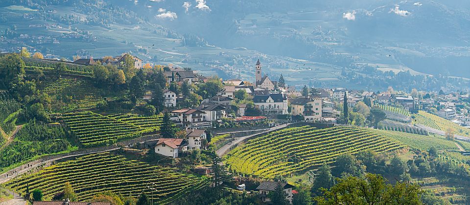 Dorf Tirol begeistert als Sonnenplateau über Meran, mit Sonne pur den ganzen Tag.