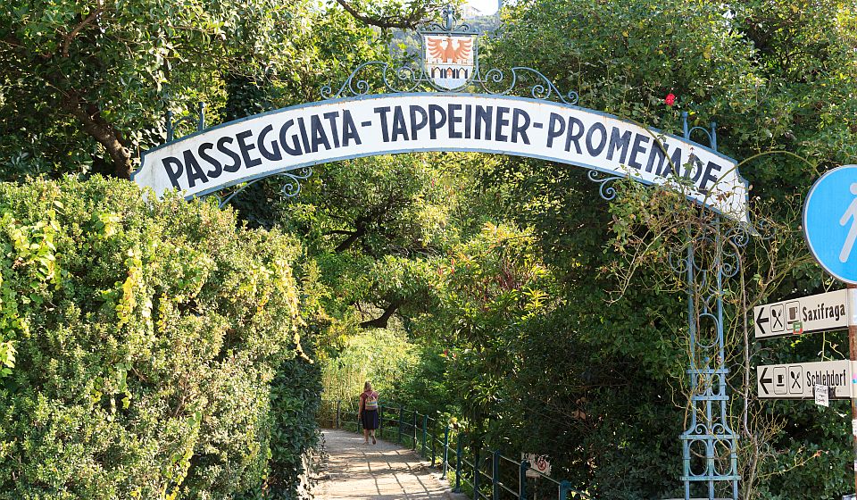 Über den Tappeinerweg führt eine aussichtsreiche Wanderung durch mediterrane Natur hinauf nach Dorf Tirol.