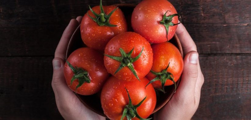 Beitragsbild Das Tomaten Museum in Parma Emilia Romagna