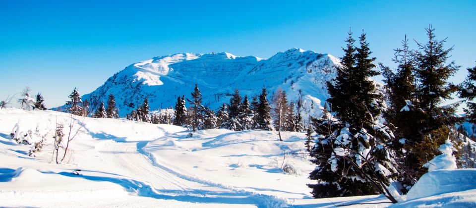 Das Skigebiet Ravascletto – Sutrio am Berg „Zoncolan“, ist eines der am besten ausgebauten Skigebiete Friaul-Julisch Venetiens.