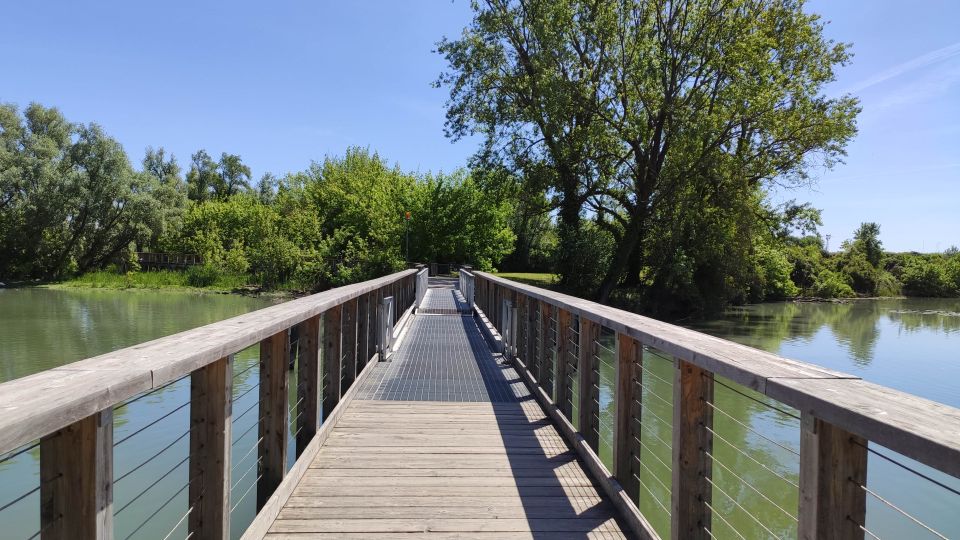 Der Parco Naturale Regionale del Fiume Sile bei Treviso bewahrt Flusslandschaften, Feuchtgebiete und reiche Tierwelt.