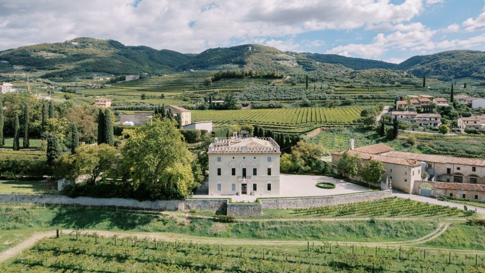 Im Valpolicella verschmelzen Wein, Kultur und Natur zu einem Paradies aus Reben, Sonne und italienischer Lebensfreude.