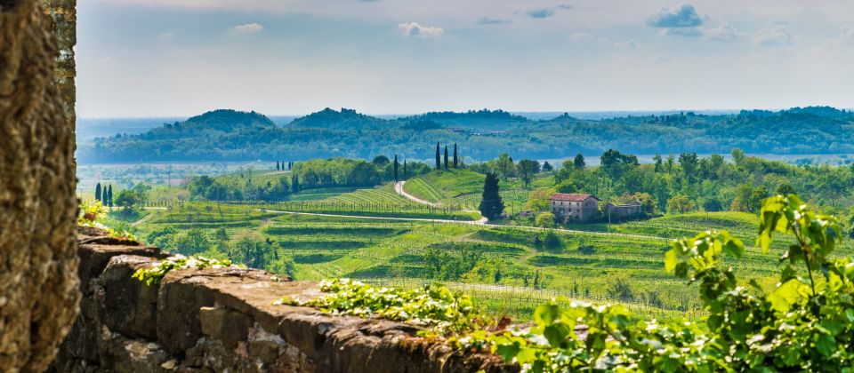 Das Friaul (offiziell: Friaul – Julisch Venetien) ganz im Nordosten des italienischen Stiefels, mag als Weinregion einen weniger klangvollen Namen haben