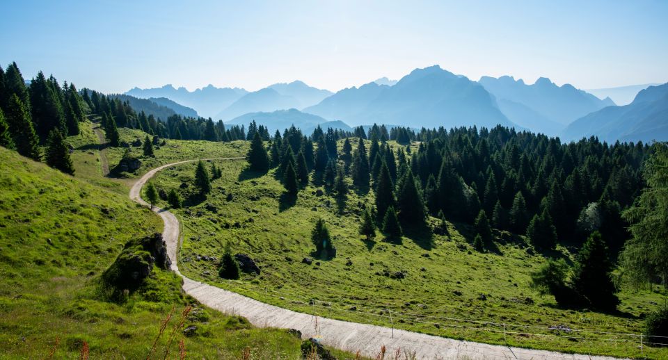 Grüne Wiesen, Wälder und Felsspitzen prägen die Dolomiten bei Gosaldo in Belluno.