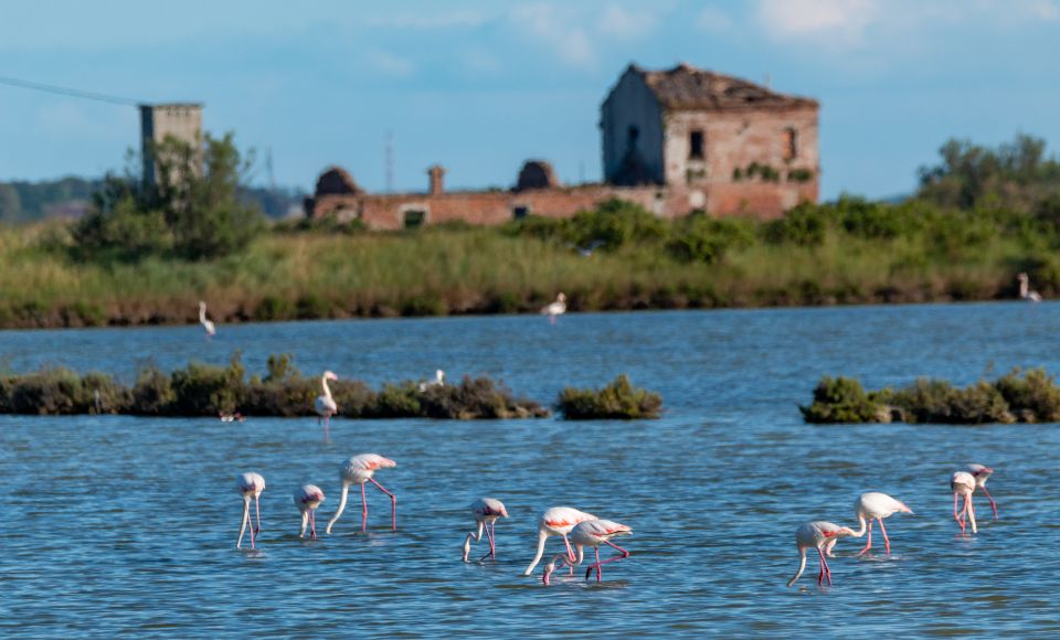 Unberührte Lagunen, Vogelvielfalt und endlose Horizonte: In Goro im Po-Delta wird Natur zum stillen Erlebnis.