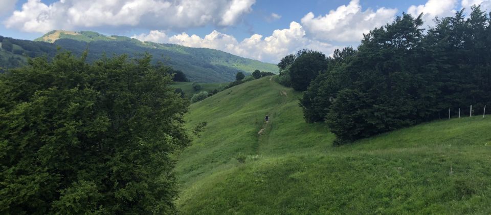 Tizzano Val Parma, eingebettet in die grünen Hügel der Emilia-Romagna, ist ein Ort, der Ruhe und Authentizität ausstrahlt.