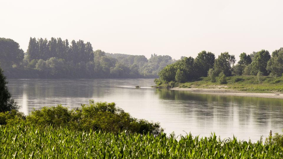 Der Po in Italien schlängelt sich durch eine Landschaft voller üppiger Vegetation entlang seiner Ufer.