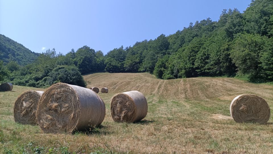Vor den bewaldeten Hängen des Apennin reihen sich goldene Heuballen wie stille Skulpturen in der Landschaft.