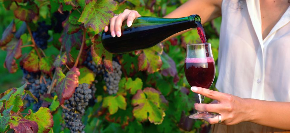 Lambrusco wird am besten gut gekühlt serviert – so zeigt er seine frische Perlage und fruchtige Lebendigkeit.