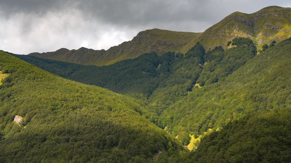 Weitblick über grüne Berghänge und Wälder des Parco Nazionale dell’Appennino Tosco-Emiliano.