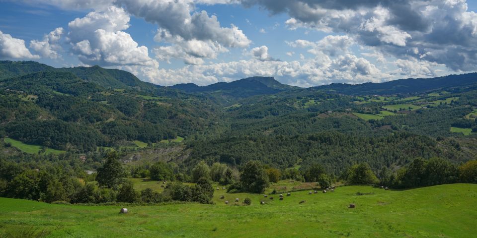 Sanfte Wiesen und Wälder breiten sich unter blauem Himmel im Herzen des Tosco-Emiliano Nationalparks aus.