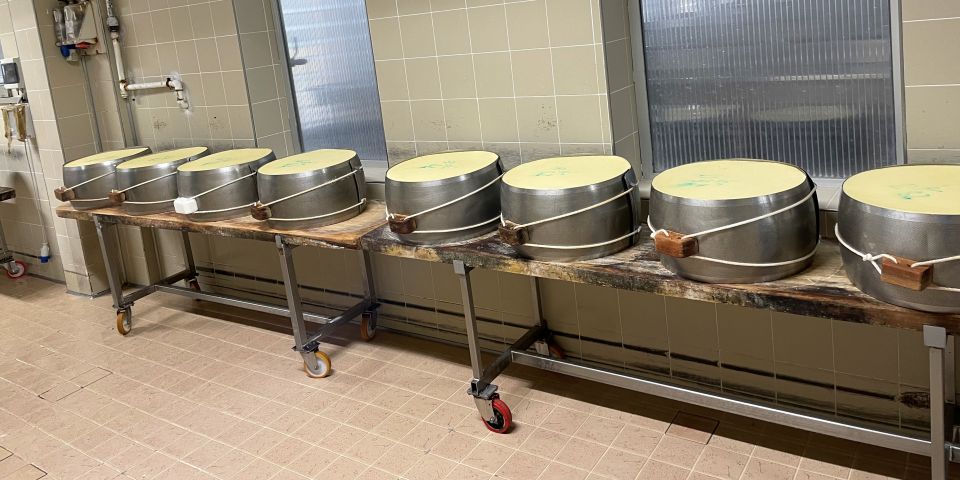 Final wird noch die markierende Matrize aufgebracht, die die ganze Nacht auf den Käseumfang drückt. So werden die typischen Kennzeichen des Käses eingeprägt, die Herkunft des Laibes, der Schriftzug „Parmigiano Reggiano“, die Nummer der Käserei sowie Monat und Jahr der Produktion.