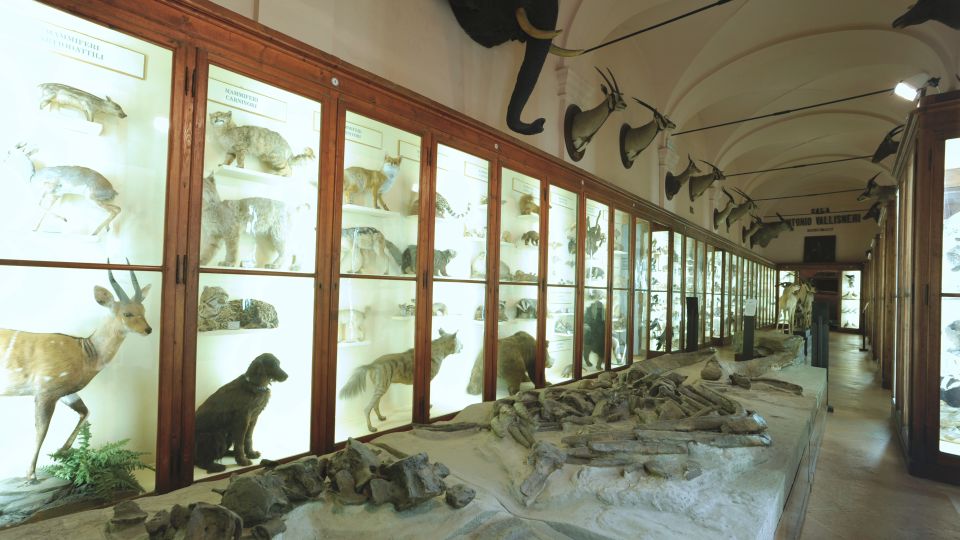 Die Musei Civici di Reggio Emilia vereinen Archäologie, Kunst und Naturkunde in einem historischen Palazzo dei Musei.