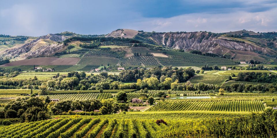 Weinanbau in Modigliana: Kühle Hügel der Romagna, eleganter Sangiovese mit Finesse, Mineralität und großer Tradition.