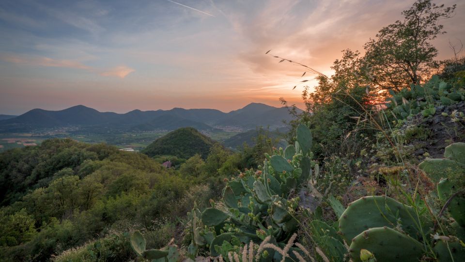 Von Montegrotto Terme eröffnet sich ein herrlicher Blick auf die Euganeischen Hügel mit ihren Weinbergen und Wäldern.