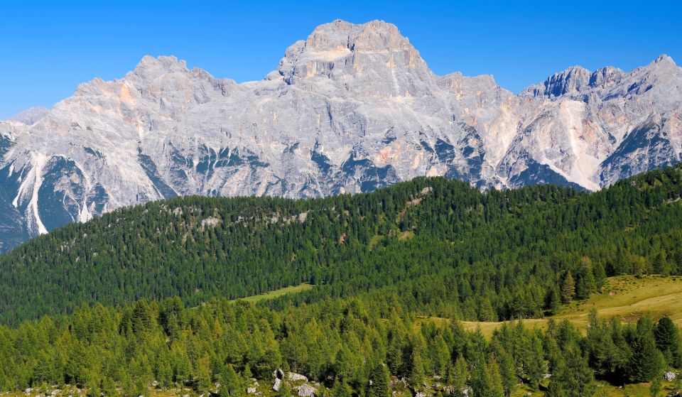 Der Parco Naturale delle Dolomiti d’Ampezzo begeistert mit unberührter Natur, imposanten Felsen und alpiner Artenvielfalt.
