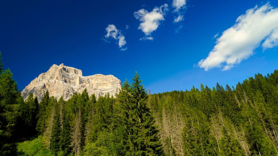 Weitblick auf den Monte Pelmo vom Staulanzapass in den Belluneser Dolomiten im Val di Zoldo.