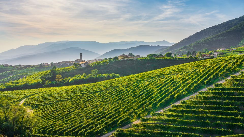 Rund um Valdobbiadene erstrecken sich steile Weinfelder, deren Reben in Sonne und Nebel den edlen Prosecco formen.