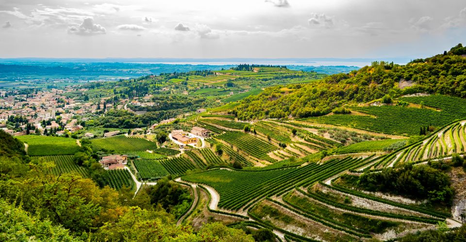 Die Valpolicella-Region nahe des Gardasees ist bekannt für sanfte Weinberge, malerische Dörfer und edle Rotweine wie Amarone.