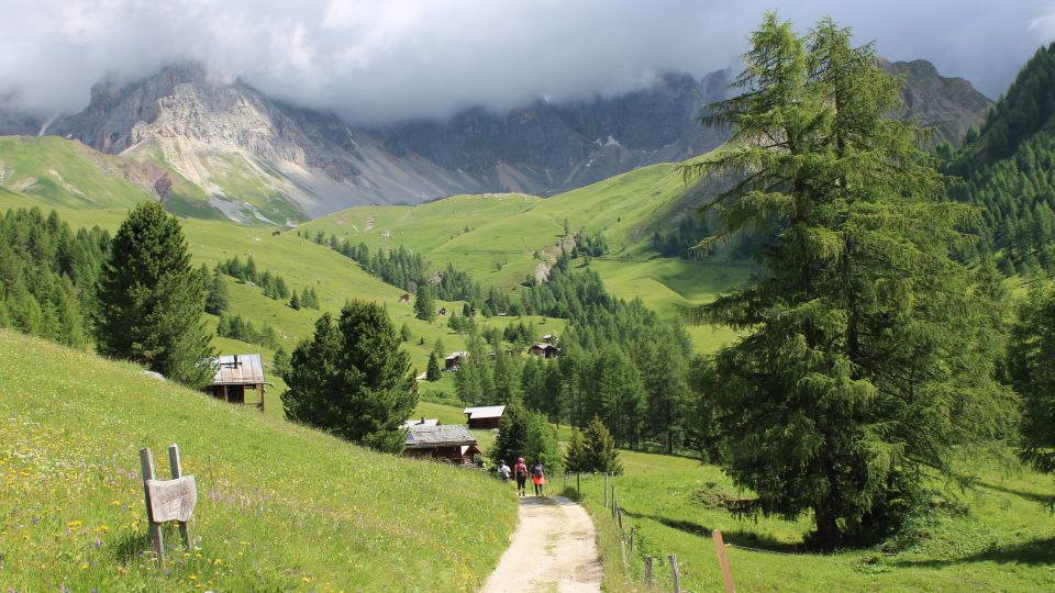 Das Valfredda in Belluno ist ein stilles Alpental der Dolomiten, geprägt von Wiesen, Lärchenwäldern und Bergpanoramen.