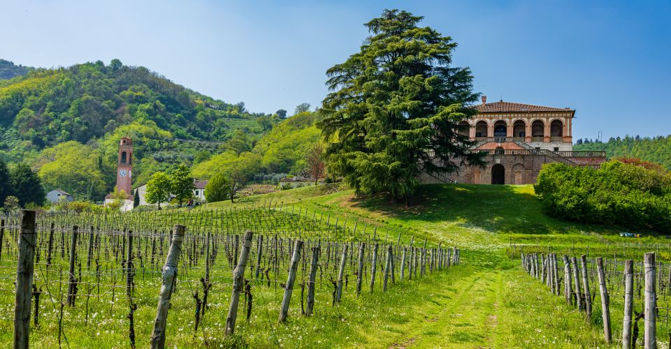 Die Villa dei Vescovi liegt auf einem Hügel bei Luvigliano di Torreglia und bietet weite Blicke über die Colli Euganei.