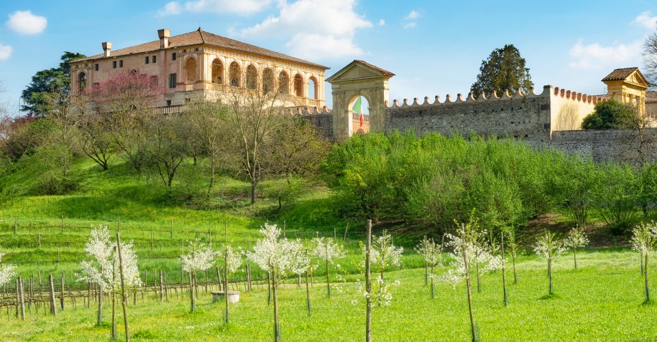 Die Villa dei Vescovi ist von einem eleganten Park mit Terrassen, Weinreben und schattigen Loggien umgeben.