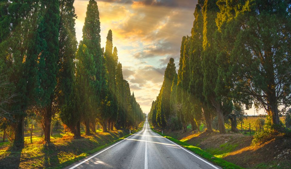 Die berühmte Zypressenallee von Bolgheri führt majestätisch zwischen endlosen Zypressenreihen zum historischen Dorf.!!