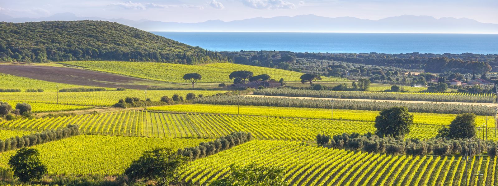 Die Provinz erstreckt sich entlang der toskanischen Küste und umfasst eine vielfältige Landschaft .