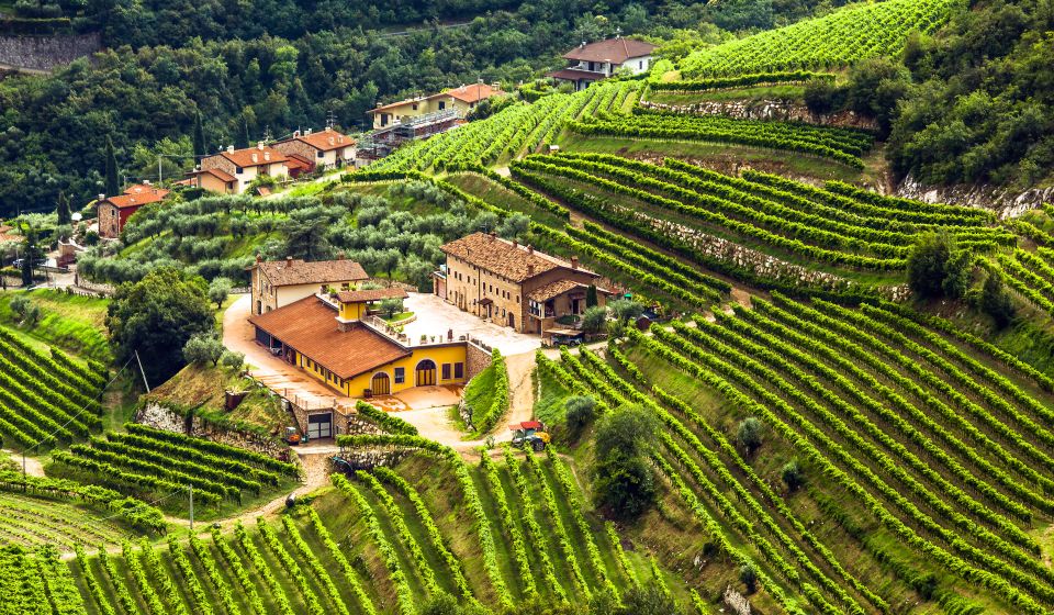 Die Valpolicella bei Verona ist ein hügelreiches Weinbaugebiet, bekannt für Amarone, Ripasso und elegante Rotweine.