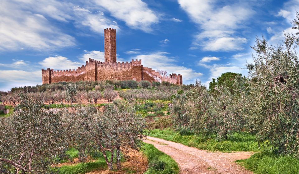In der Landschaft bei Castiglion Fiorentino erhebt sich die mittelalterliche Burg Montecchio Vesponi, umgeben von Olivenhainen der Toskana.