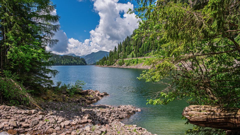Der Lago di Paneveggio liegt ruhig im Fichtenwald des Naturparks und spiegelt Wasser, Wald und alpine Stille harmonisch.