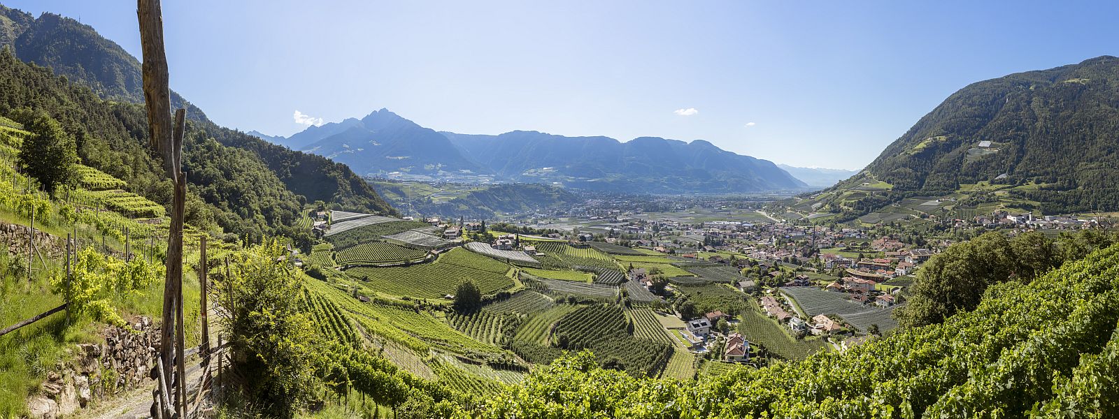 Algund liegt als sonnenverwöhnte Gemeinde im Etschtal nahe Meran und besticht durch mediterranes Flair sowie Bergpanorama.