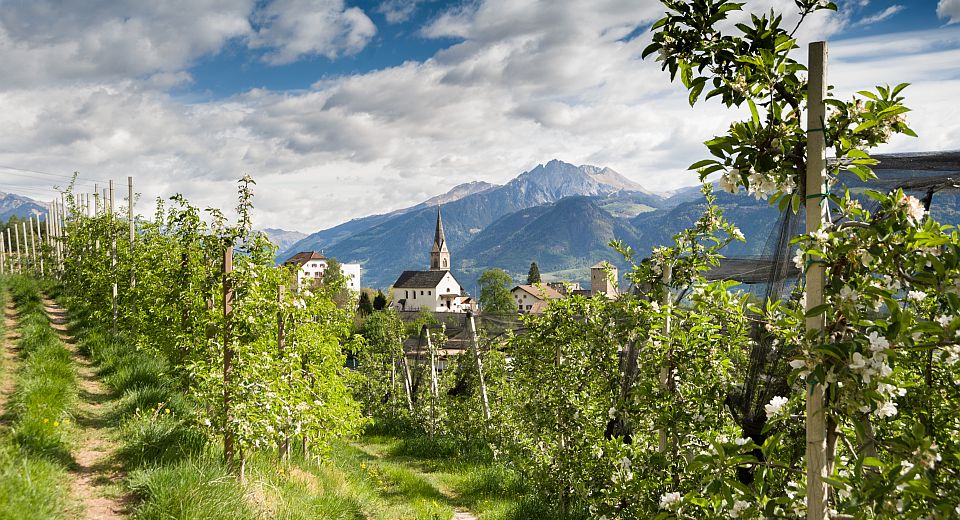 Völlan liegt sonnig oberhalb von Lana und begeistert mit Kastanienhainen, der Mayenburg und schönen Wanderwegen.