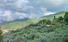 Agriturismo Chiesa a Varena Londa