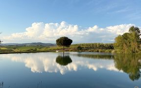 Agriturismo Galeazzi Manciano