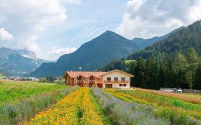 Bioagrarbetrieb & Eco-Green Haus Fiores