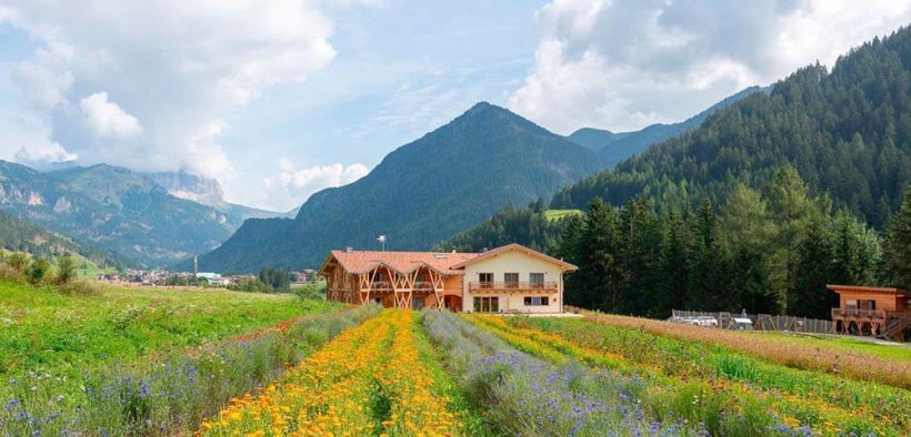 Bioagrarbetrieb & Eco-Green Haus Fiores